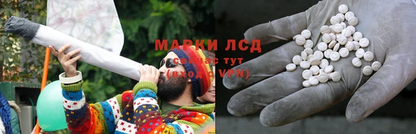 стафф Богданович