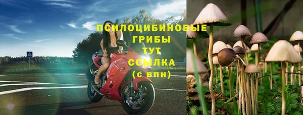 синтетический гашиш Богородск