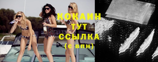 стафф Ельня