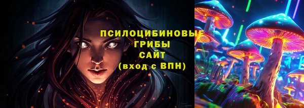 синтетический гашиш Богородск