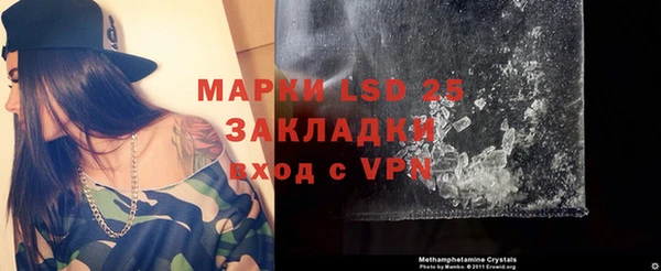 стафф Богданович